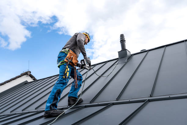 Best Roof Ventilation Installation  in Mount Zion, IL